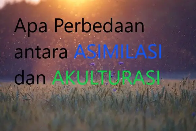 Apa Perbedaan antara ASIMILASI dan AKULTURASI