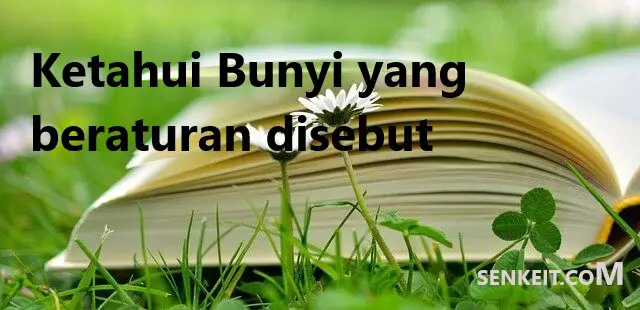 Ketahui Bunyi yang beraturan disebut