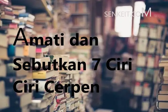 Amati dan Sebutkan 7 Ciri Ciri Cerpen