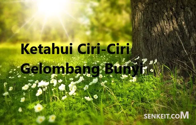 Ketahui Ciri-Ciri Gelombang Bunyi