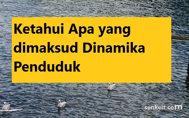 Ketahui Apa yang dimaksud Dinamika Penduduk