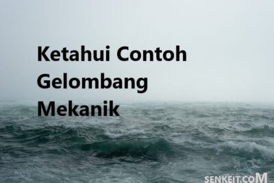 Ketahui Contoh Gelombang Mekanik