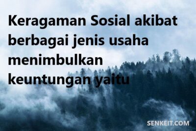 Keragaman Sosial akibat berbagai jenis usaha menimbulkan keuntungan yaitu