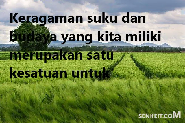 Keragaman suku dan budaya yang kita miliki merupakan satu kesatuan untuk