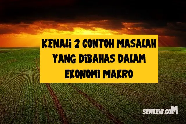 Kenali 2 contoh Masalah yang dibahas dalam Ekonomi Makro