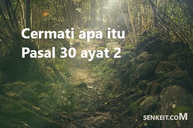 Cermati apa itu Pasal 30 ayat 2