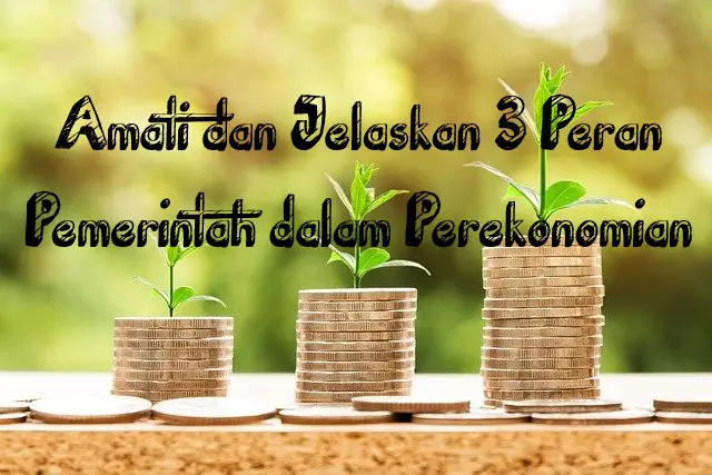 Amati dan Jelaskan 3 Peran Pemerintah dalam Perekonomian