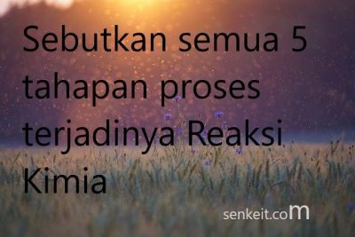 Sebutkan semua 5 tahapan proses terjadinya Reaksi Kimia