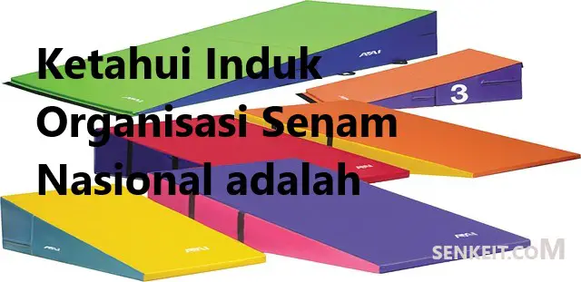 Ketahui Induk Organisasi Senam Nasional adalah