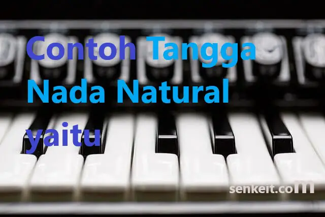 Contoh Tangga Nada Natural yaitu