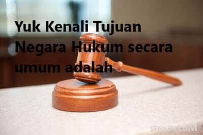 Yuk Kenali Tujuan Negara Hukum secara umum adalah